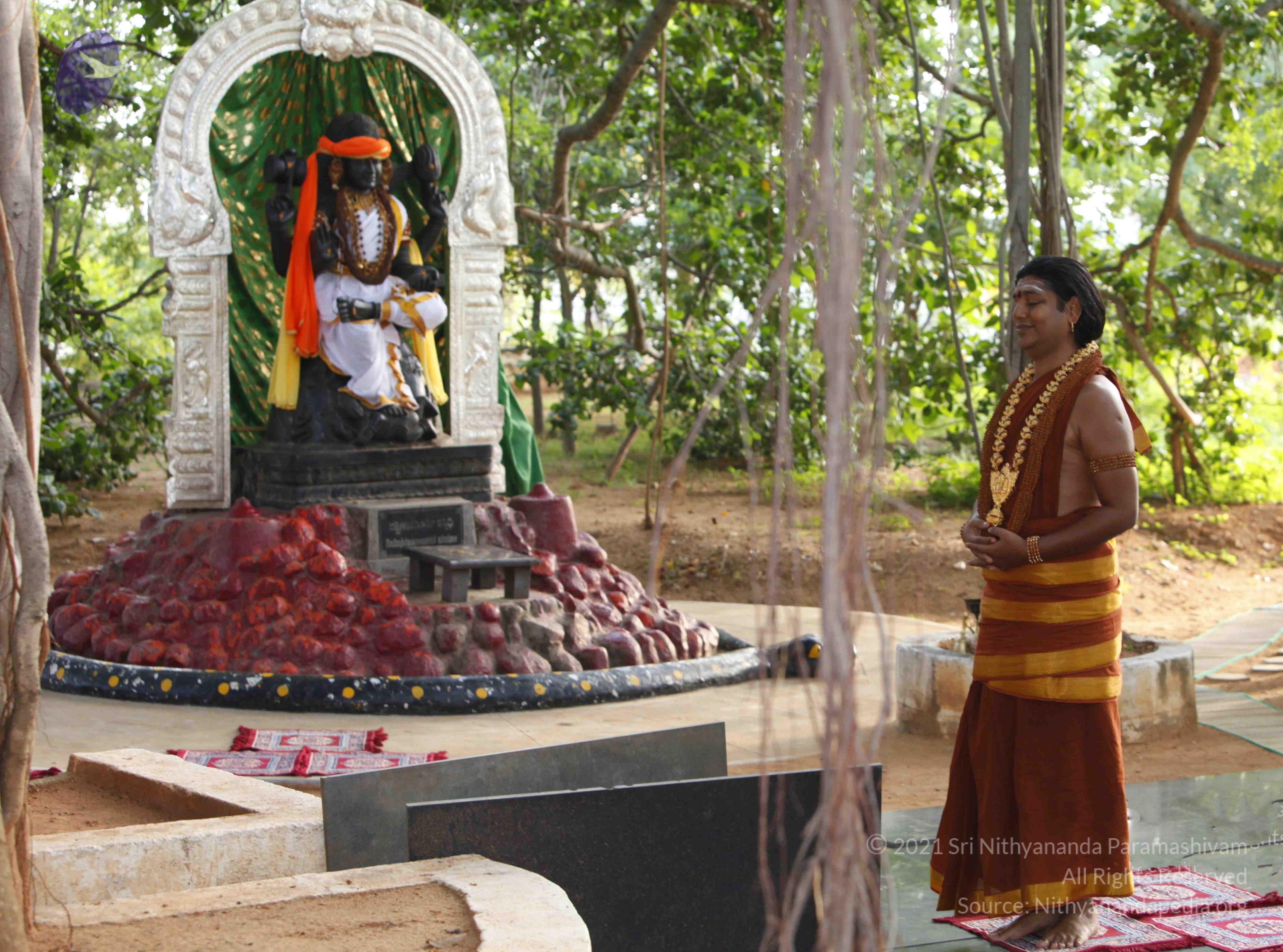 20130630_Photo_1004__MG_8630_CMP_WM Done